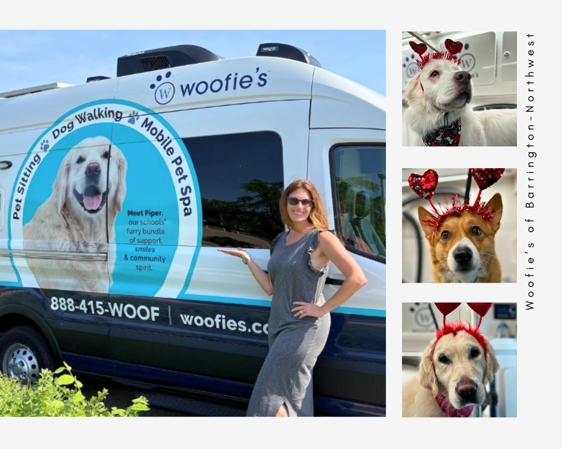 Woofie's of Barrington-Northwest Grand Opening with Pooches and Smooches Valentines Adoption Event at Buffalo Creek Brewing